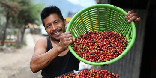 Discover What Makes Single Origin Coffee So Magical