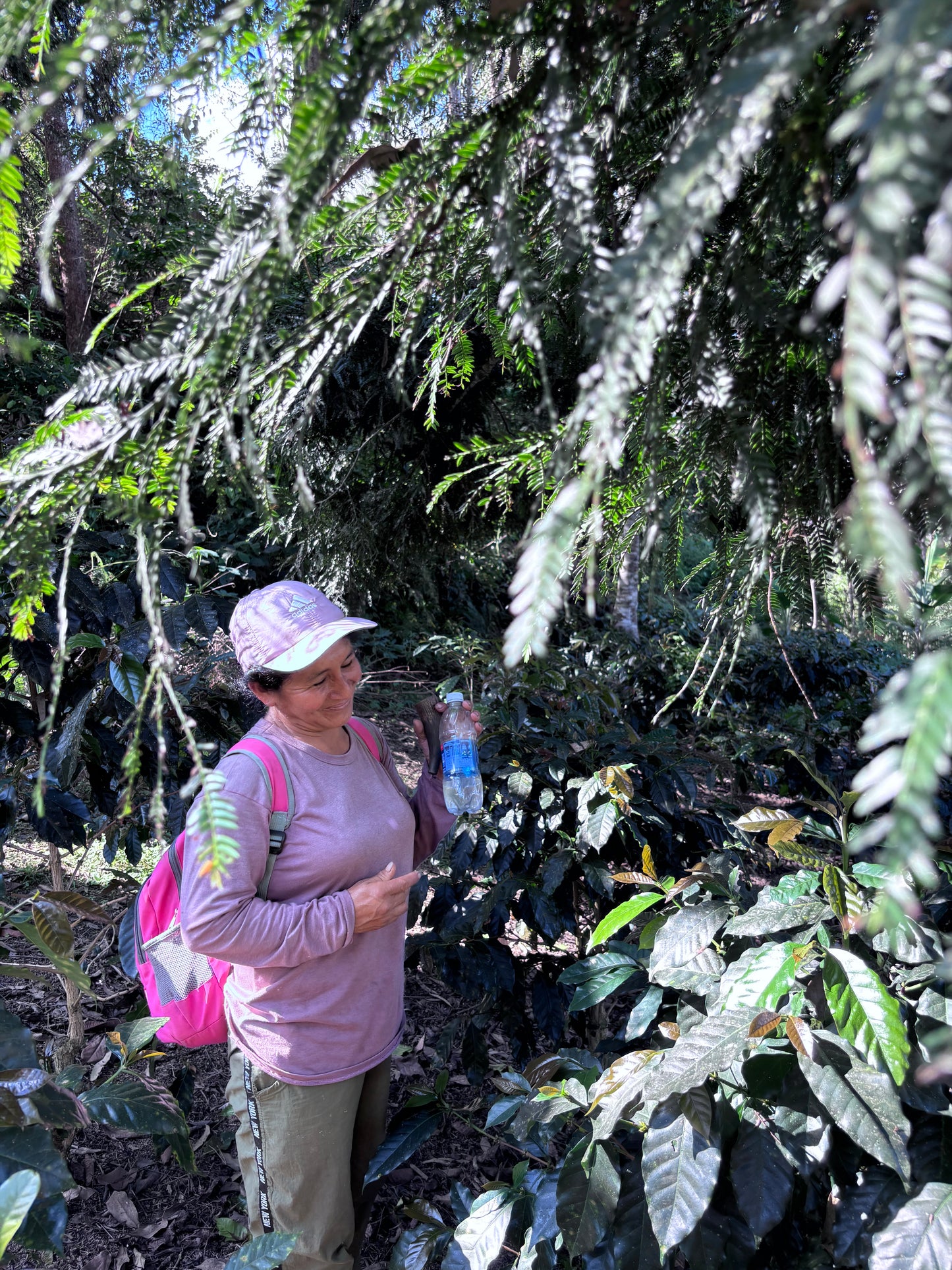 Peru El Osa "Party Chicas" San Ignacio