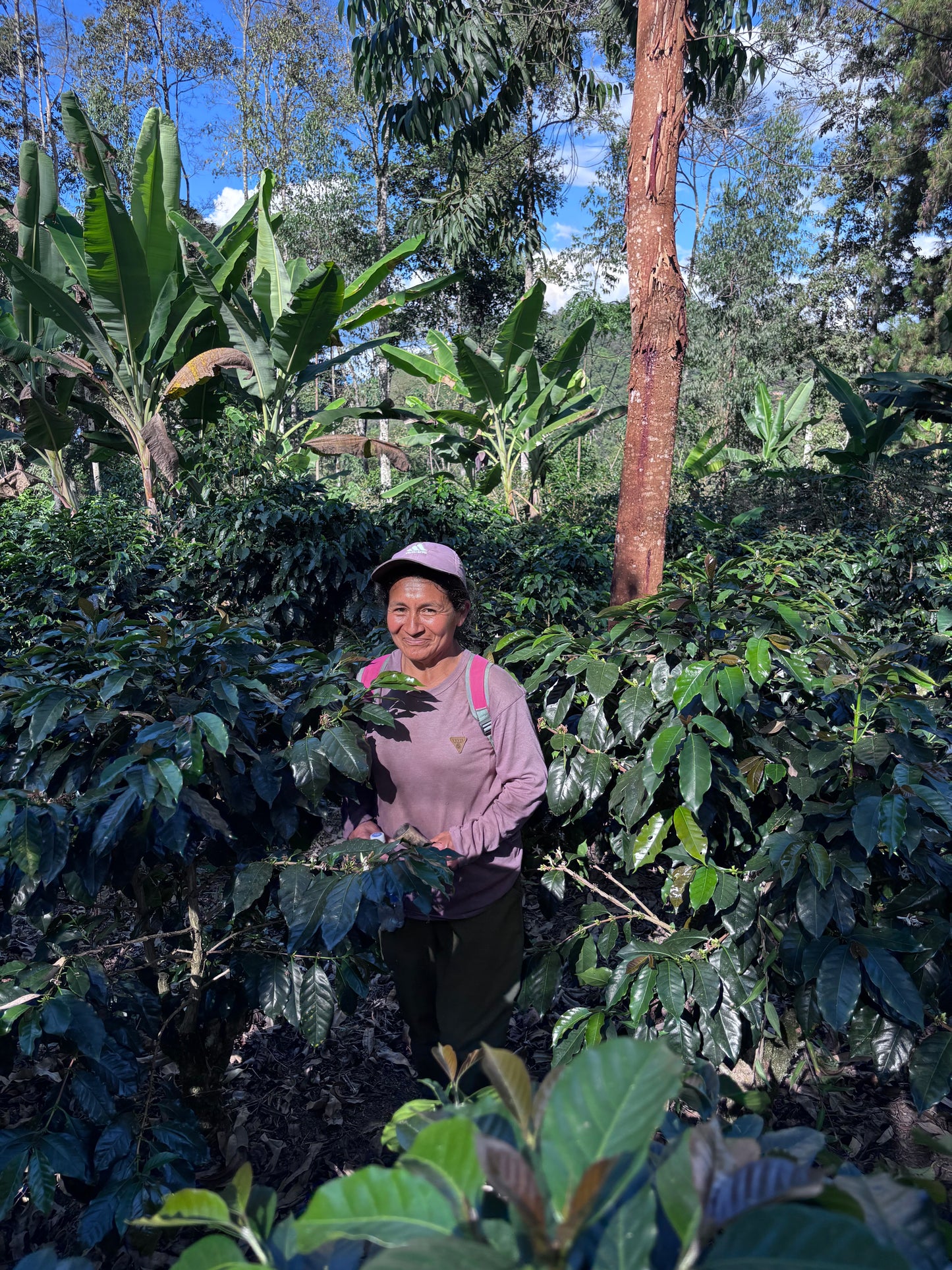 Peru El Osa "Party Chicas" San Ignacio